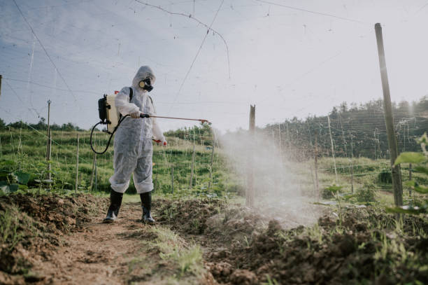 Best Local Pest Control Services  in Bellevue, KY