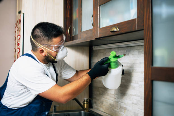 Best Commercial Pest Control Services  in Bellevue, KY