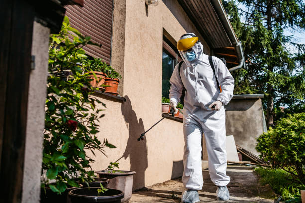 Best Mosquito Control Services  in Bellevue, KY