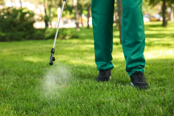 Best Commercial Pest Control Services  in Bellevue, KY
